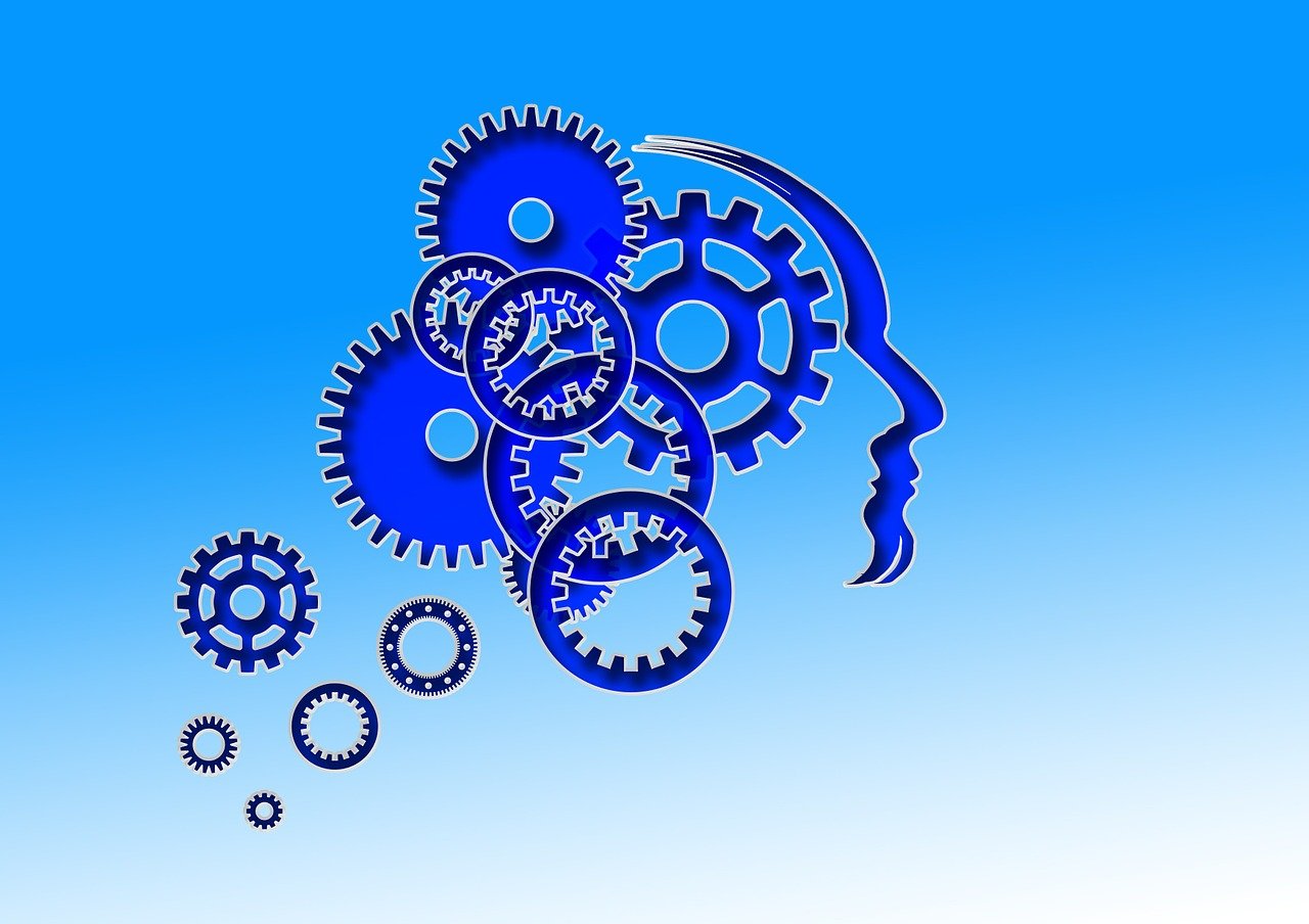 head brain man face human 607480 head brain man face human 607480