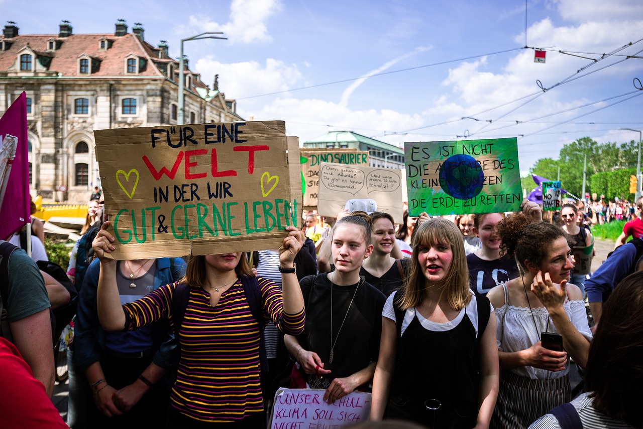 demonstration fridays for future 4891291
